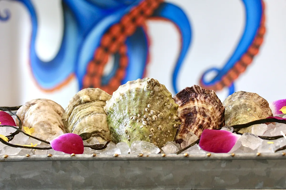 The Loft Raw Bar & Seafood Grill